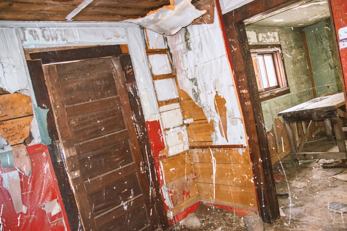Flood Cleanup service in South Lyon, MI