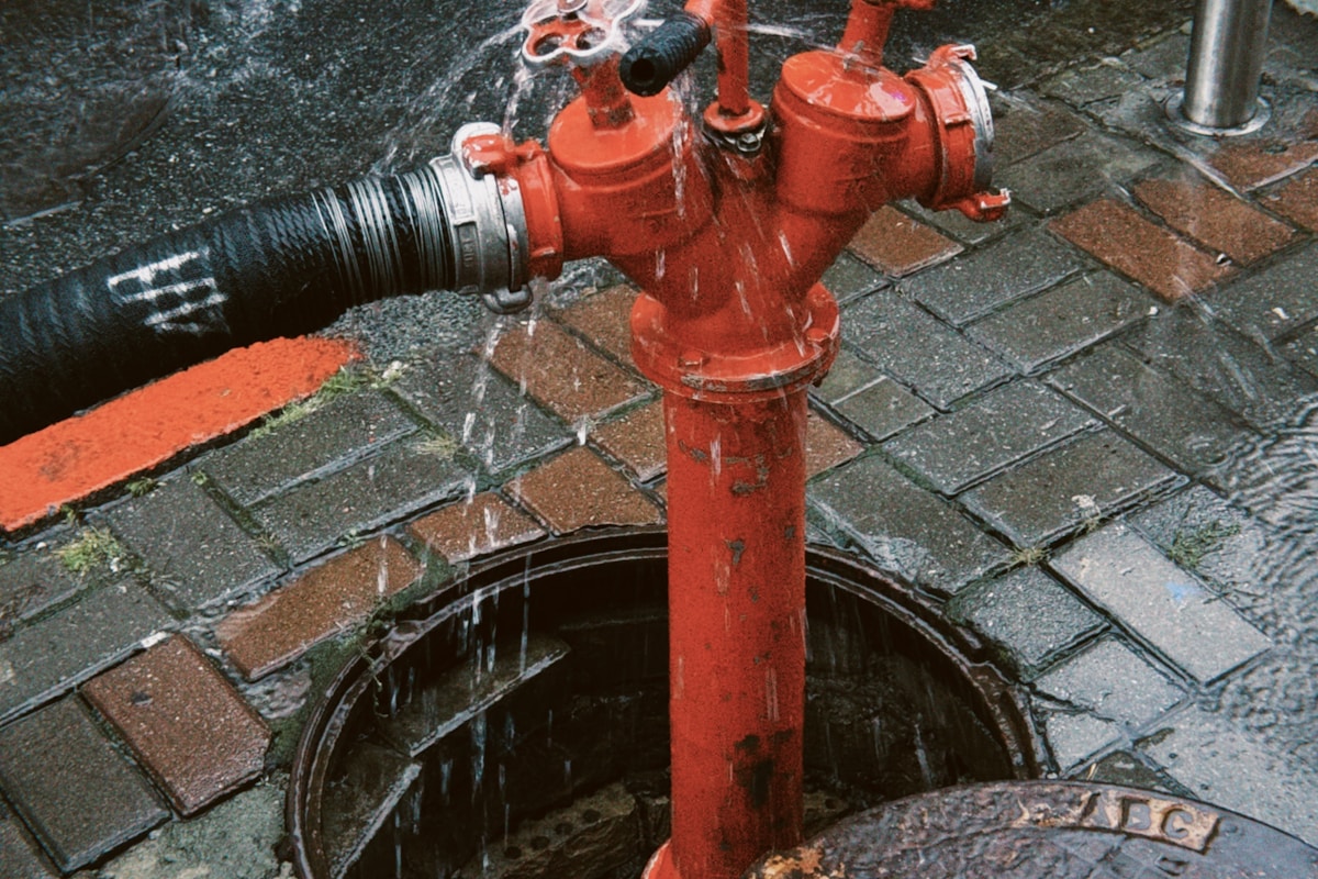 Flood Cleanup service in South Lyon, MI